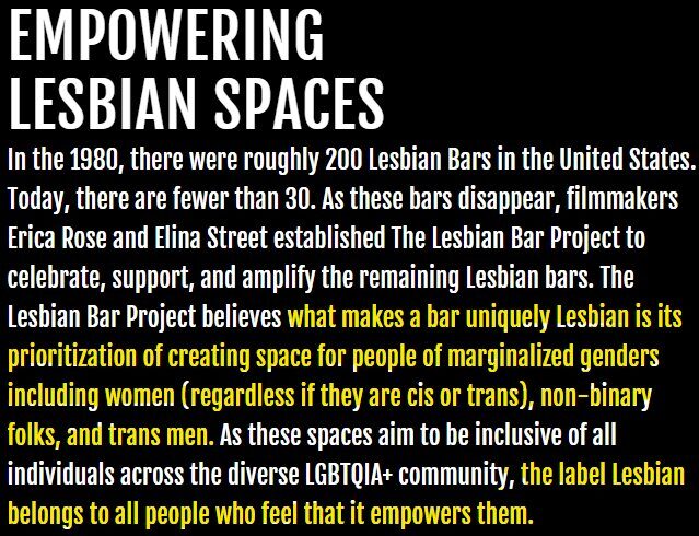 Screenshot of The Lesbian Bar Project’s description of a lesbian bar